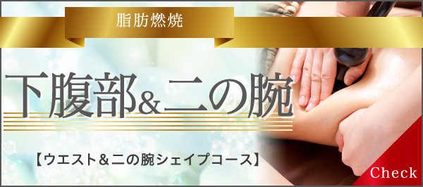 脂肪燃焼 下腹部&二の腕シェイプコース