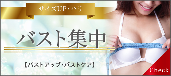 バスト集中コース