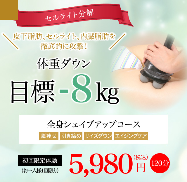 全身シェイプコース