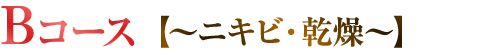 Bコース【～ニキビ・乾燥～】