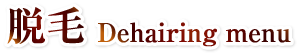 脱毛｜Dehairing menu