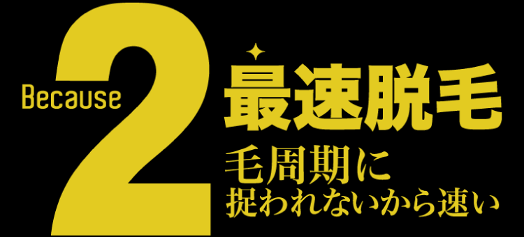 Because2 最速脱毛　毛周期に捉われないから速い