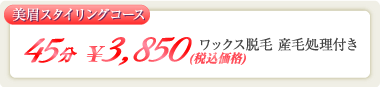 美眉スタイリングコース 45分 3,480円(税抜価格) ワックス脱毛 産毛処理付き