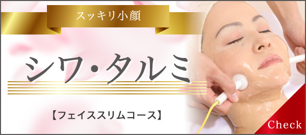 スッキリ小顔 シワ・タルミ フェイススリムコース