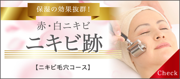 保湿の効果抜群！ 赤・白ニキビ跡 ニキビ毛穴コース