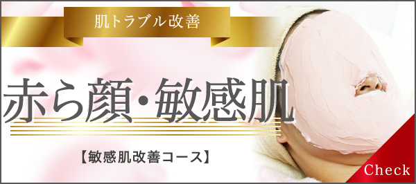 肌トラブル改善 赤ら顔・敏感肌 敏感肌改善コース
