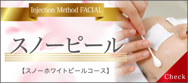 Injection Method FACIAL スノーピール ホワイトスノーピールコース