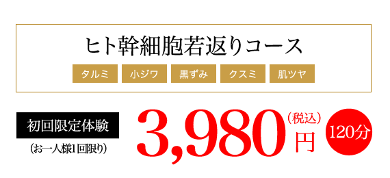 ヒト幹細胞若返りコース