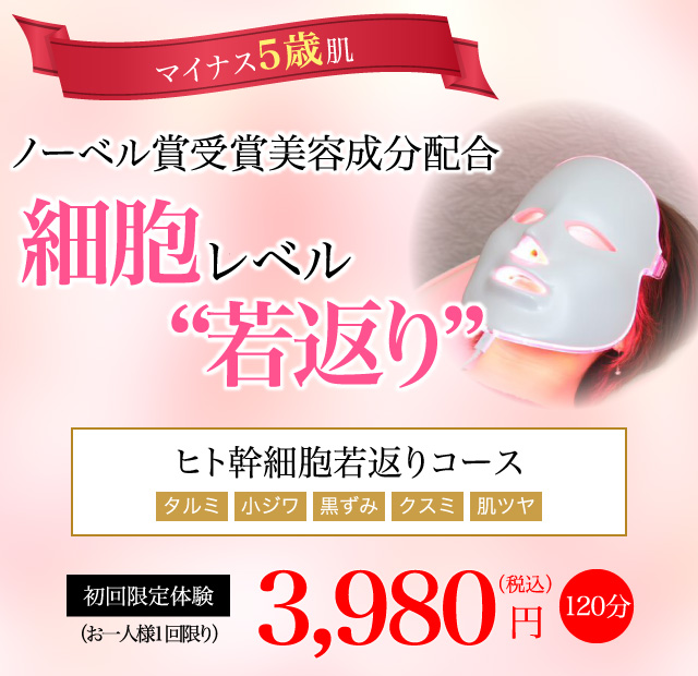 ヒト幹細胞若返りコース エステなら心斎橋 難波のエミールへ ヒト幹細胞若返りコース エステなら心斎橋 難波のエミールへ