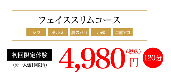 フェイススリムコース