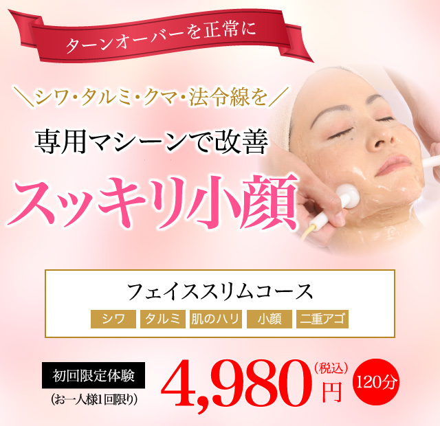 フェイススリムコース